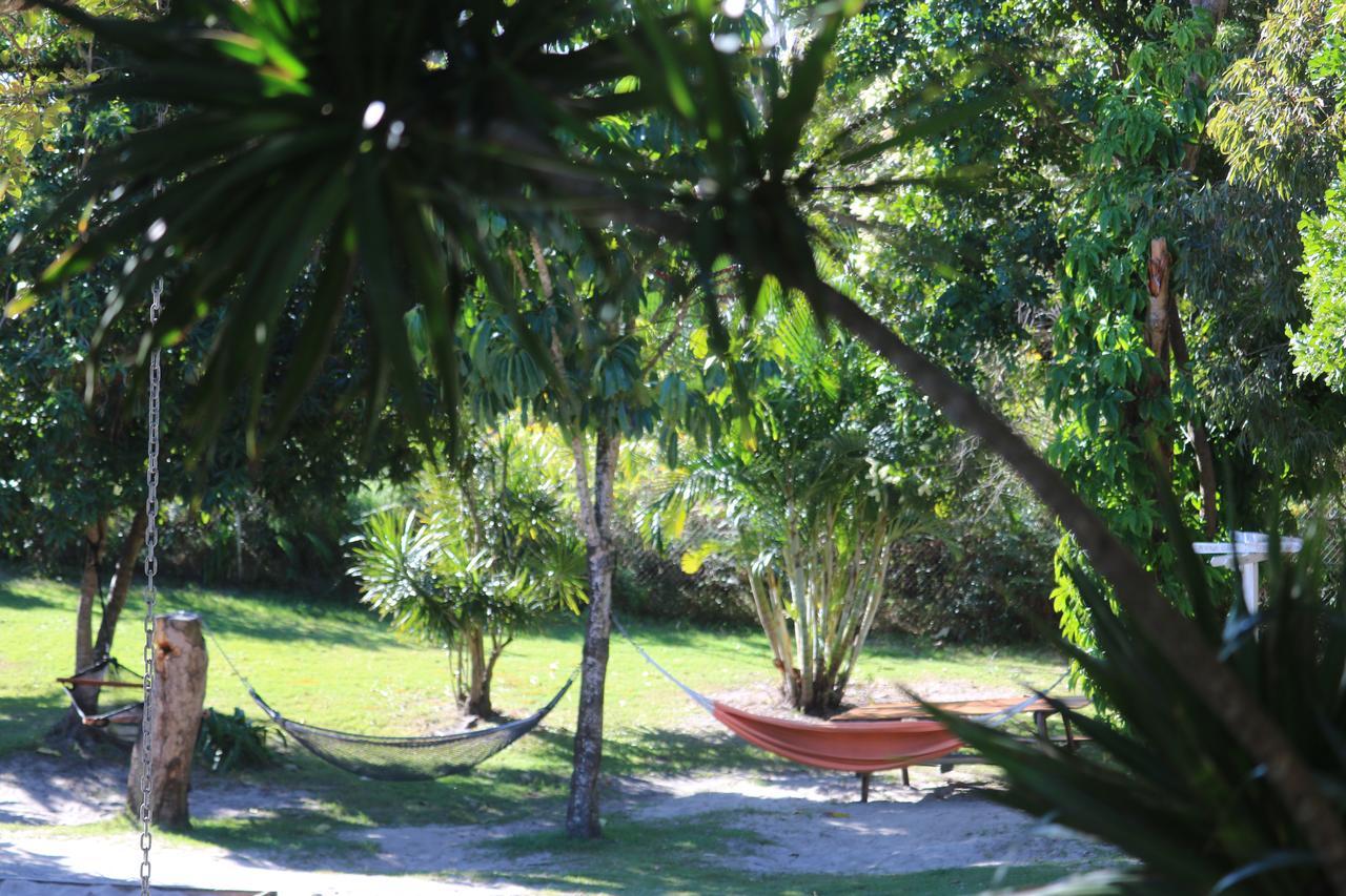 ביירון ביי Backpackers Inn On The Beach מראה חיצוני תמונה
